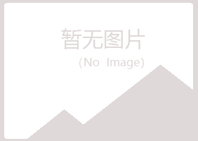 曲靖岑迷会计有限公司